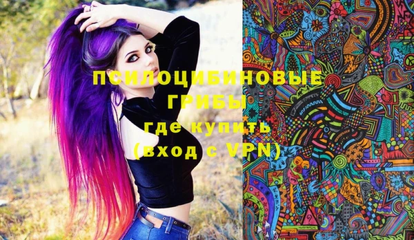 прущая мука Каменка
