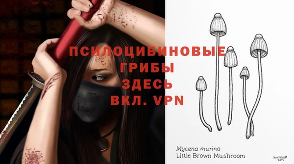 марки nbome Каменногорск