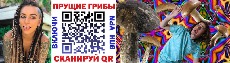 Купить  Камешково  Псилоцибиновые грибы GOLDEN TEACHER 